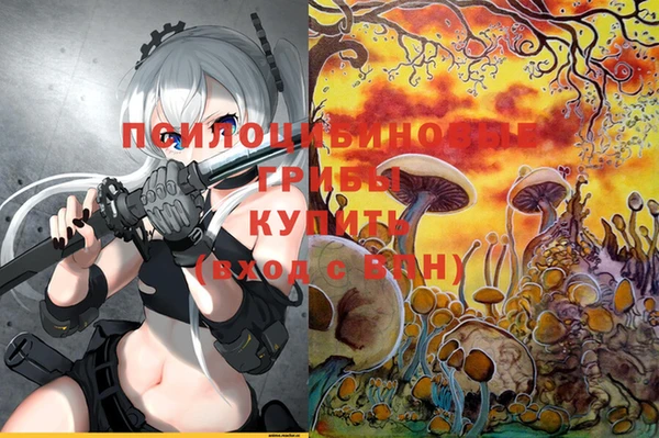 соль ск Дмитров