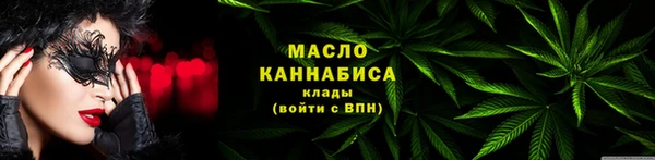 соль ск Дмитров