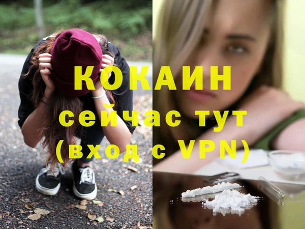 соль ск Дмитров