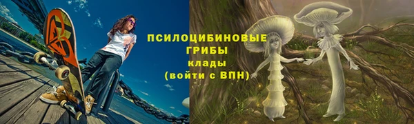 соль ск Дмитров